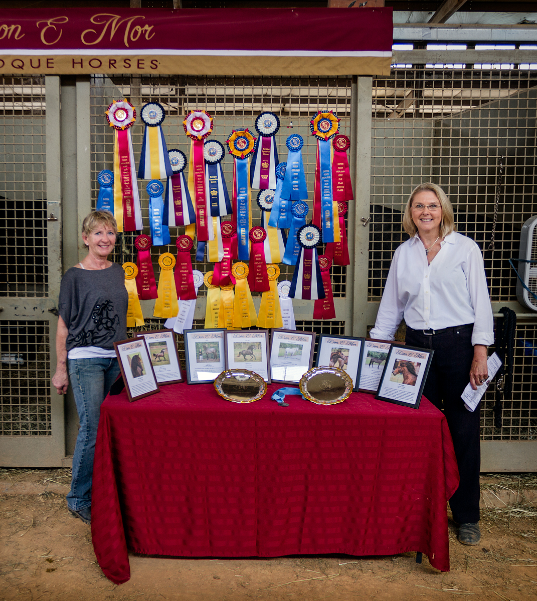 Awards for Don E Mor horses at ERAHC Virginia Classic 2013